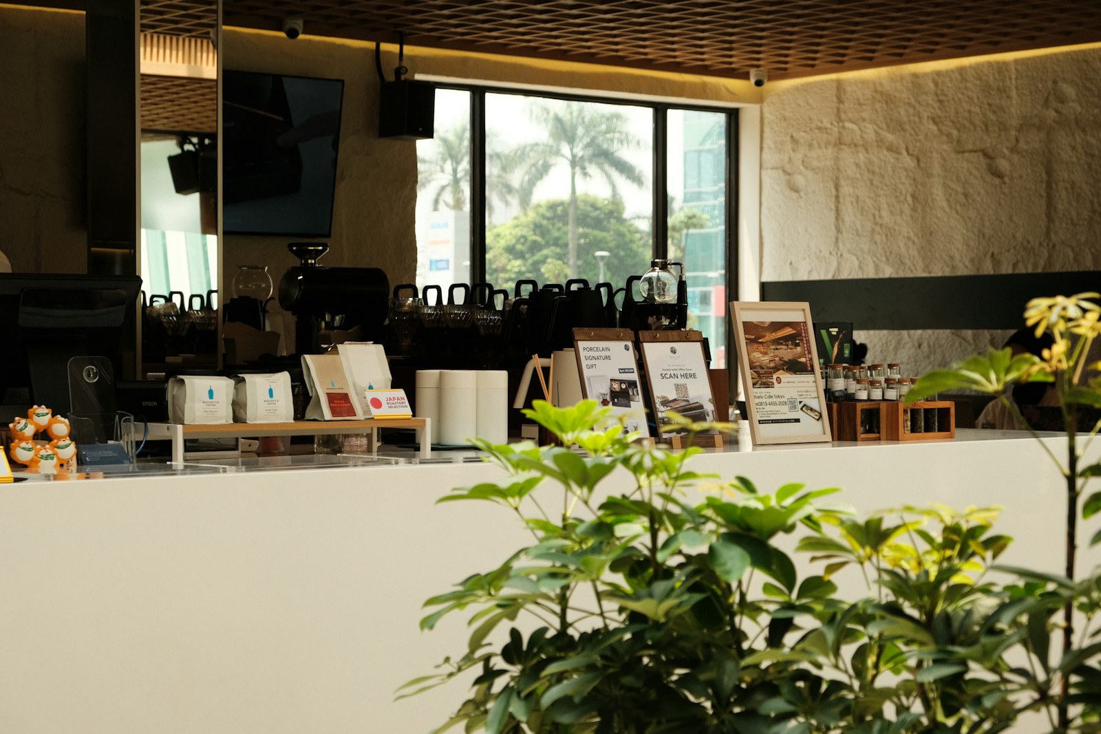 Morning light across the counter and the back wall of the room