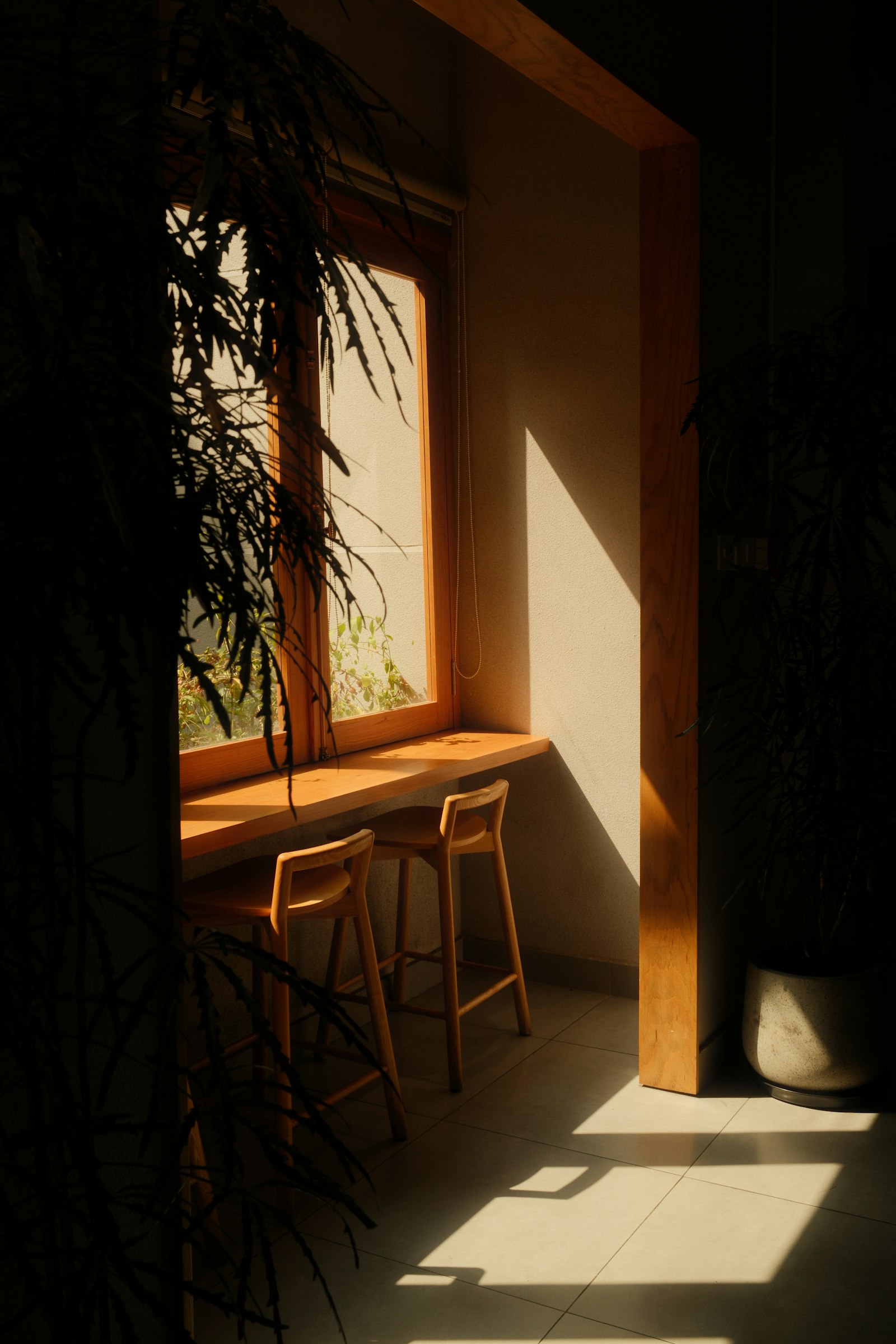 The corner window seat at Dayroom on an autumn morning